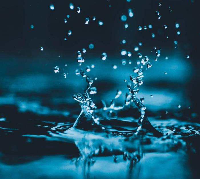 1655191846878186.jpg 15.jpg