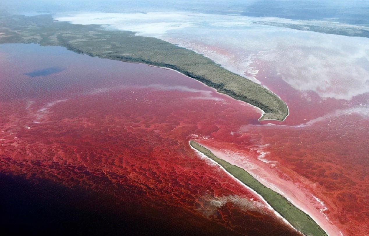 1687330453526466.jpg 赤潮.jpg