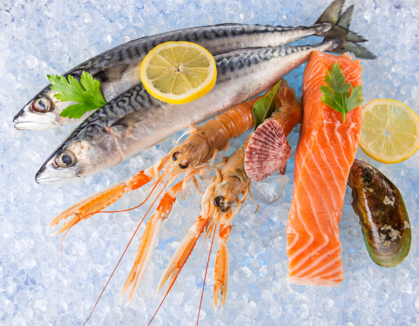 1694052481582818.png 水產22.png