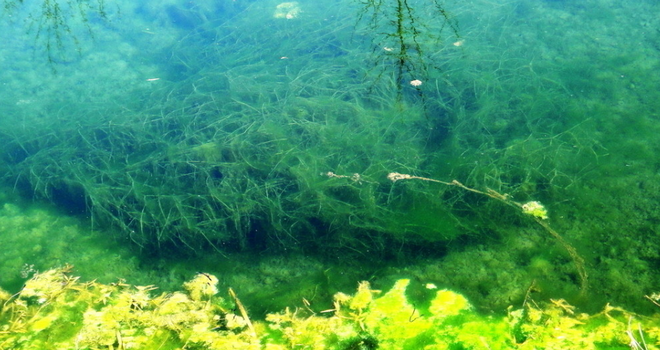 1696731844972100.png 1696731844972100.png