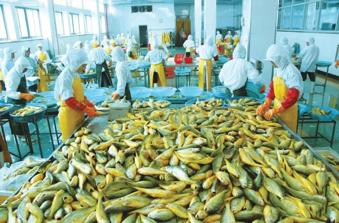 1718853681123983.jpg 1718853681123983.jpg