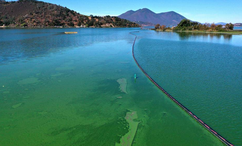 1722326323588656.png 1722326323588656.png