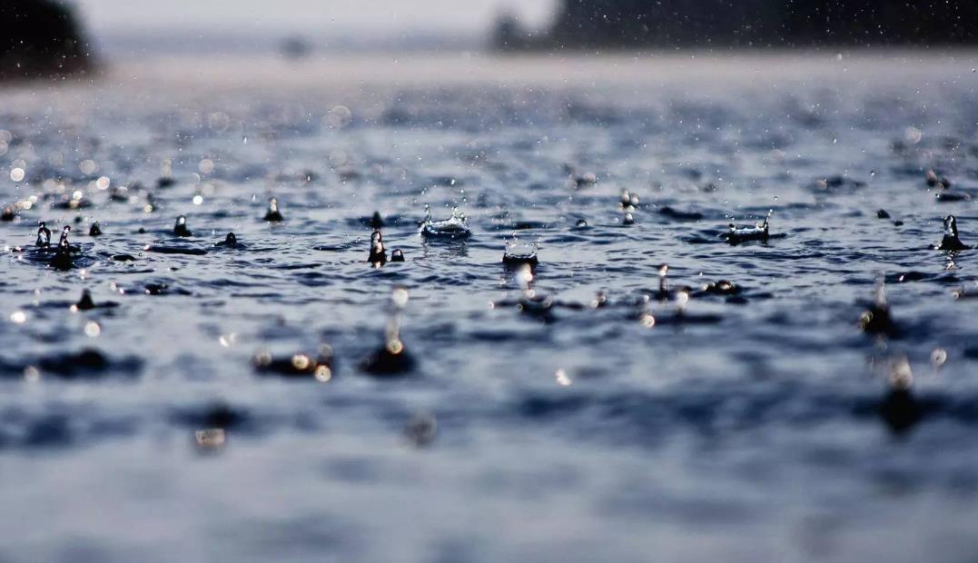 1722844403330409.jpg 1722844403330409.jpg