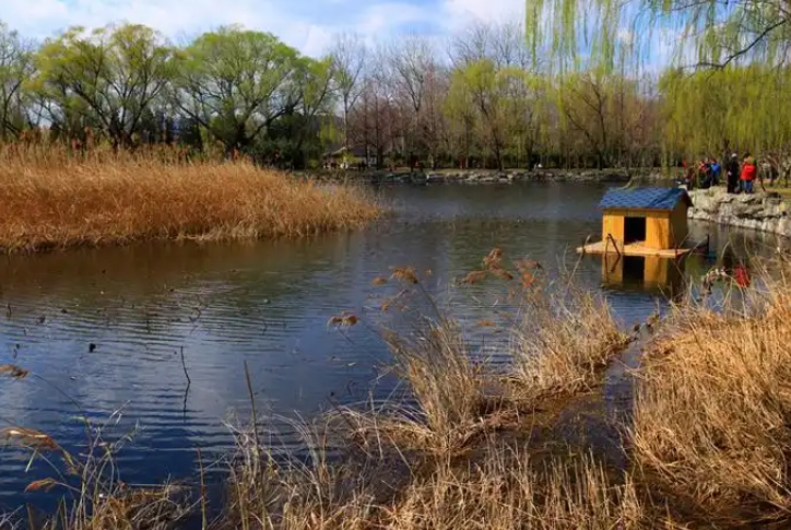 1741327396294046.jpg b0be3126e05c9985dbbc4d700a982e9e_1741326464274013.jpg