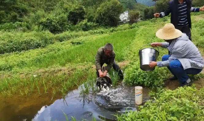 1762222657141405.jpg 2a557eafb37226e31e29048749da4859_1762138169343893.jpg