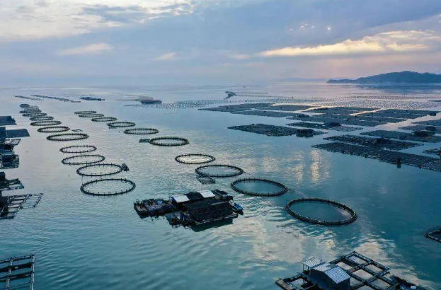 1773624601215748.jpg 養殖.jpg