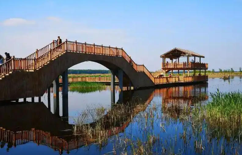 1776060205511920.jpg 濕地公園.jpg