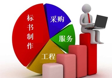 專業(yè)標(biāo)書(shū)制作與采購(gòu)代理服務(wù) 成都企業(yè)的得力助手